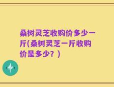 桑树灵芝收购价多少一斤(桑树灵芝一斤收购价是多少？)