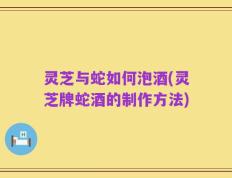 灵芝与蛇如何泡酒(灵芝牌蛇酒的制作方法)