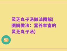 灵芝丸子汤做法图解(图解做法：营养丰富的灵芝丸子汤)