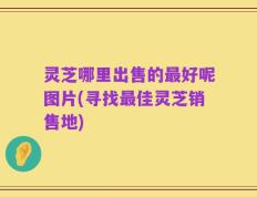 灵芝哪里出售的最好呢图片(寻找最佳灵芝销售地)