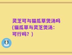 灵芝可与猫瓜草煲汤吗(猫瓜草与灵芝煲汤：可行吗？)