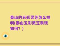 泰山的五彩灵芝怎么样啊(泰山五彩灵芝表现如何？)