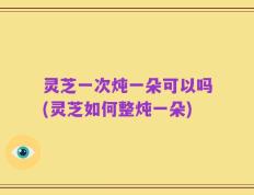 灵芝一次炖一朵可以吗(灵芝如何整炖一朵)