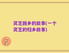 灵芝回乡的故事(一个灵芝的归乡故事)