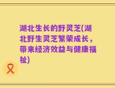 湖北生长的野灵芝(湖北野生灵芝繁荣成长，带来经济效益与健康福祉)