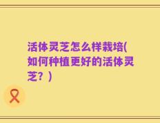 活体灵芝怎么样栽培(如何种植更好的活体灵芝？)