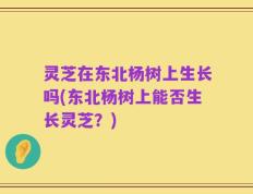 灵芝在东北杨树上生长吗(东北杨树上能否生长灵芝？)