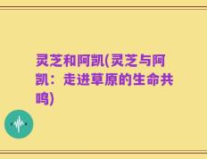 灵芝和阿凯(灵芝与阿凯：走进草原的生命共鸣)