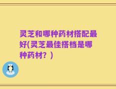 灵芝和哪种药材搭配最好(灵芝最佳搭档是哪种药材？)
