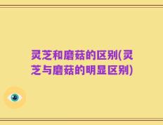 灵芝和磨菇的区别(灵芝与磨菇的明显区别)