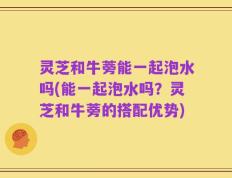 灵芝和牛蒡能一起泡水吗(能一起泡水吗？灵芝和牛蒡的搭配优势)