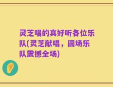 灵芝唱的真好听各位乐队(灵芝献唱，圆场乐队震撼全场)