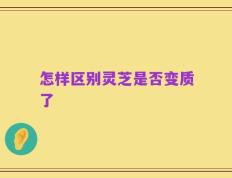 怎样区别灵芝是否变质了