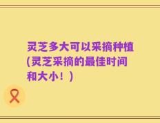 灵芝多大可以采摘种植(灵芝采摘的最佳时间和大小！)