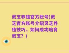 灵芝养殖官方账号(灵芝官方账号介绍灵芝养殖技巧，如何成功培育灵芝？)