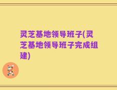 灵芝基地领导班子(灵芝基地领导班子完成组建)