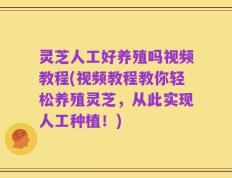 灵芝人工好养殖吗视频教程(视频教程教你轻松养殖灵芝，从此实现人工种植！)
