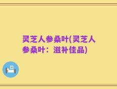灵芝人参桑叶(灵芝人参桑叶：滋补佳品)