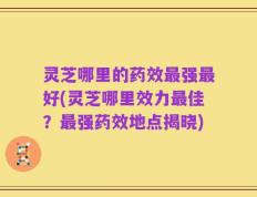 灵芝哪里的药效最强最好(灵芝哪里效力最佳？最强药效地点揭晓)