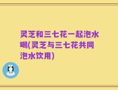 灵芝和三七花一起泡水喝(灵芝与三七花共同泡水饮用)