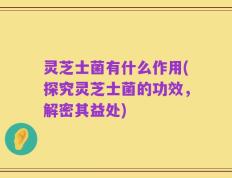 灵芝士菌有什么作用(探究灵芝士菌的功效，解密其益处)