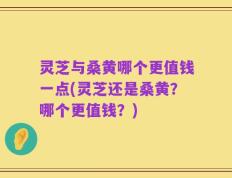 灵芝与桑黄哪个更值钱一点(灵芝还是桑黄？哪个更值钱？)