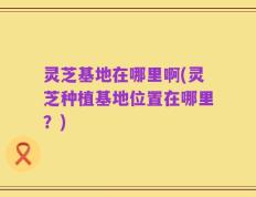 灵芝基地在哪里啊(灵芝种植基地位置在哪里？)