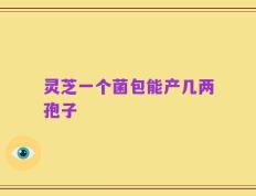 灵芝一个菌包能产几两孢子