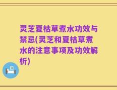 灵芝夏枯草煮水功效与禁忌(灵芝和夏枯草煮水的注意事项及功效解析)