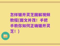 怎样锯开灵芝图解视频教程(图文并茂！手把手教你如何正确锯开灵芝！)