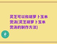 灵芝可以和胡萝卜玉米煲汤(灵芝胡萝卜玉米煲汤的制作方法)