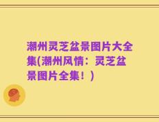 潮州灵芝盆景图片大全集(潮州风情：灵芝盆景图片全集！)