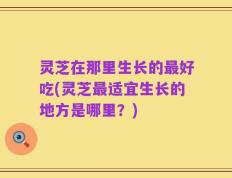 灵芝在那里生长的最好吃(灵芝最适宜生长的地方是哪里？)