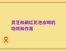 灵芝和藏红花泡水喝的功效和作用