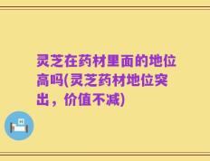 灵芝在药材里面的地位高吗(灵芝药材地位突出，价值不减)