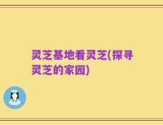 灵芝基地看灵芝(探寻灵芝的家园)