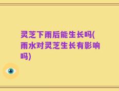 灵芝下雨后能生长吗(雨水对灵芝生长有影响吗)