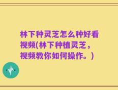 林下种灵芝怎么种好看视频(林下种植灵芝，视频教你如何操作。)