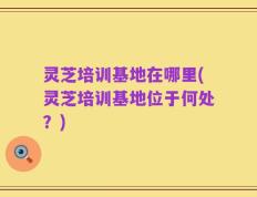 灵芝培训基地在哪里(灵芝培训基地位于何处？)