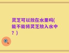 灵芝可以放在水里吗(能不能将灵芝放入水中？)
