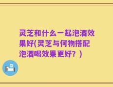 灵芝和什么一起泡酒效果好(灵芝与何物搭配泡酒喝效果更好？)