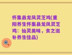 怀集县龙凤灵芝鸡(重阳养生怀集县龙凤灵芝鸡：仙灵美味，食之滋补养生佳品)