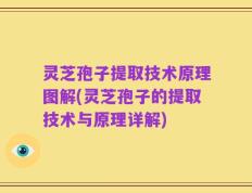灵芝孢子提取技术原理图解(灵芝孢子的提取技术与原理详解)