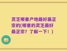 灵芝哪里产地最好最正宗的(哪里的灵芝最好最正宗？了解一下！)