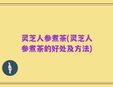 灵芝人参煮茶(灵芝人参煮茶的好处及方法)