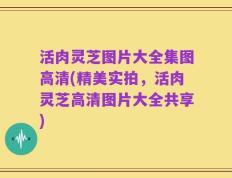 活肉灵芝图片大全集图高清(精美实拍，活肉灵芝高清图片大全共享)
