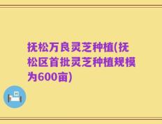 抚松万良灵芝种植(抚松区首批灵芝种植规模为600亩)