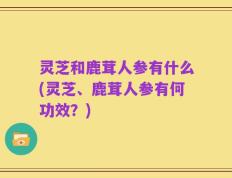 灵芝和鹿茸人参有什么(灵芝、鹿茸人参有何功效？)