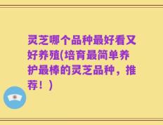 灵芝哪个品种最好看又好养殖(培育最简单养护最棒的灵芝品种，推荐！)