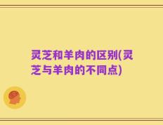 灵芝和羊肉的区别(灵芝与羊肉的不同点)